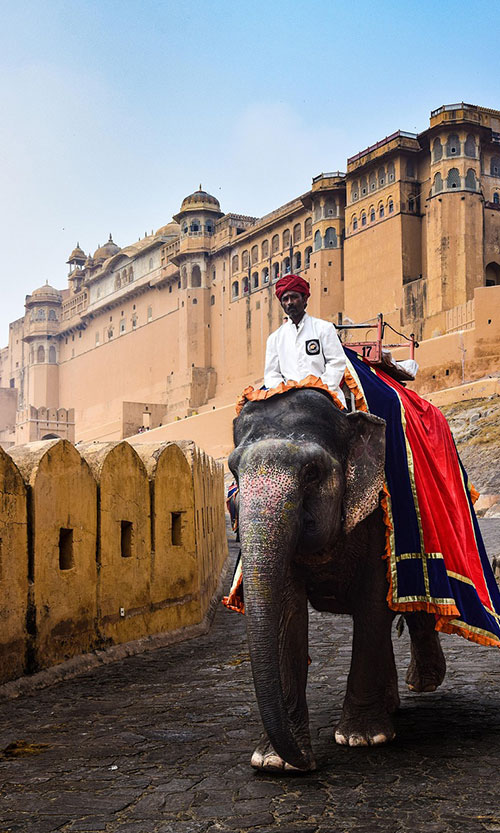Golden Triangle Tours India | Delhi Agra Jaipur Tour Packages
