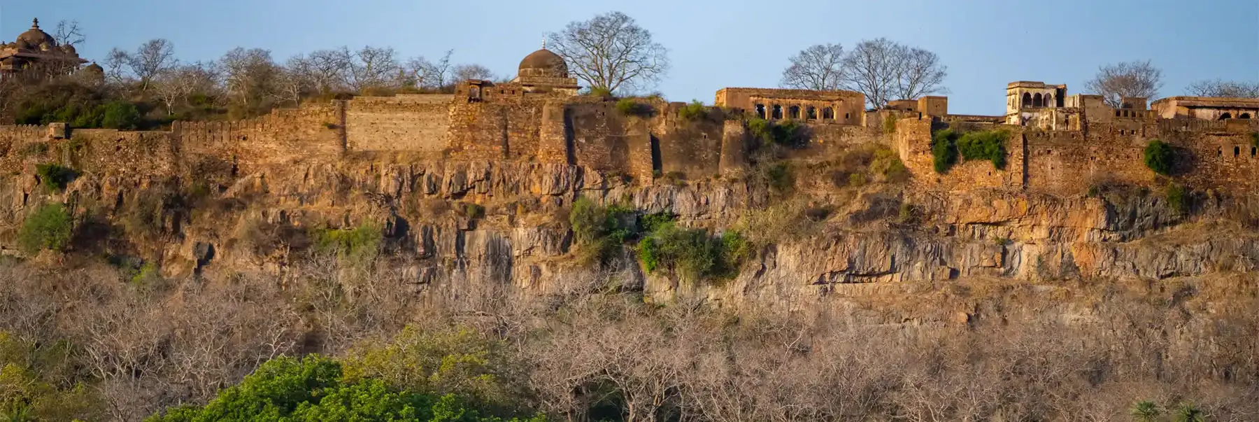 Golden Triangle with Ranthambore Tour