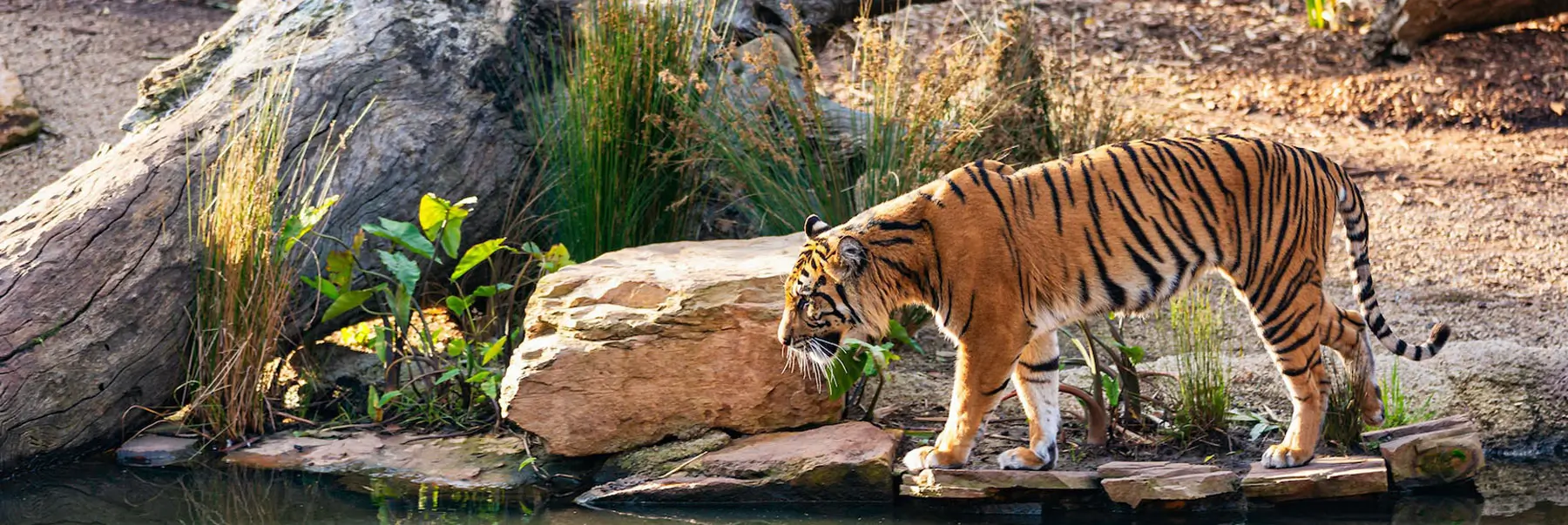 Golden Triangle Tour 2 Nights 3 Days – Delhi, Agra & Jaipur by Private Car